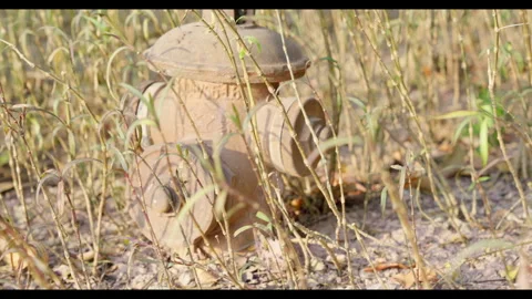 Fire Hydrant in Dry Grass for Mindfulness Background Use Stock Footage 327794782