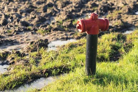Fire hydrant on the field Stock Photos