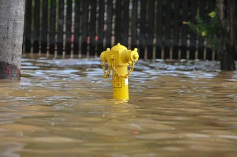 Fire hydrant flooded Foto stock