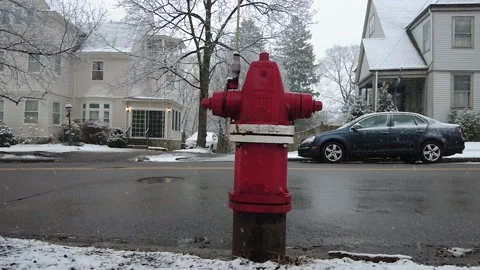 FIRE HYDRANT FLURRY Stock Footage 187703382