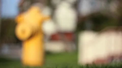 Fire Hydrant 스톡 동영상 10910634