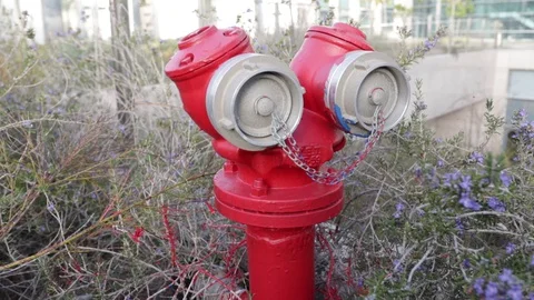 Fire hydrant  Stock Footage 129529215
