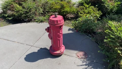 Fire hydrant with green bushes Stock Footage 282061212