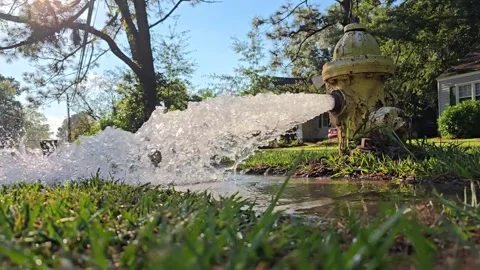 Fire Hydrant Gushing Water Video Stock Footage 322168126