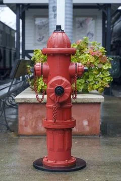 Fire Hydrant Installed on Wet Urban City Street 库存照片