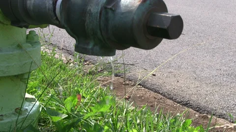 Fire Hydrant leaking 動画素材 39817668