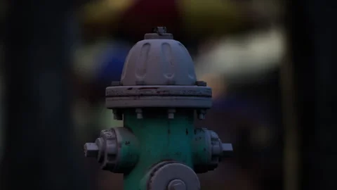 Fire hydrant in a park at dusk with blurred background Stock Footage 339456187
