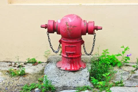 Fire hydrant Stock Photos