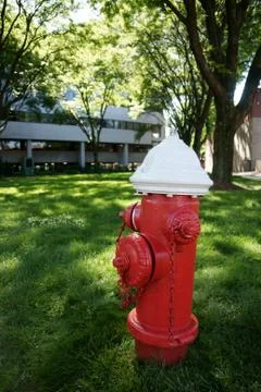 Fire hydrant Stock Photos