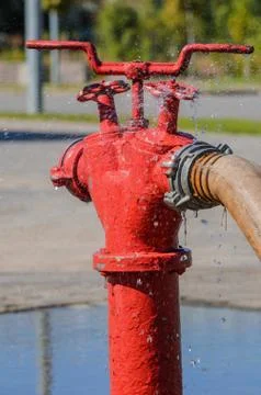 Fire hydrant Stock Photos