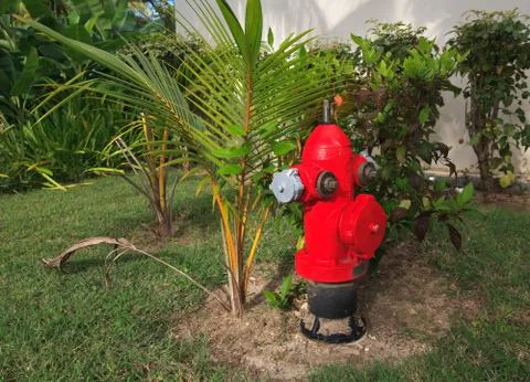 Fire hydrant Stock Photos