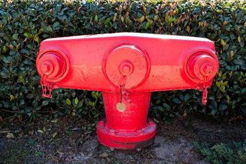 Fire Hydrant Stock Photos