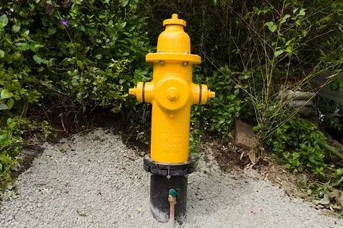 Fire hydrant Foto stock