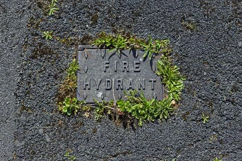 Fire Hydrant Stock Photos