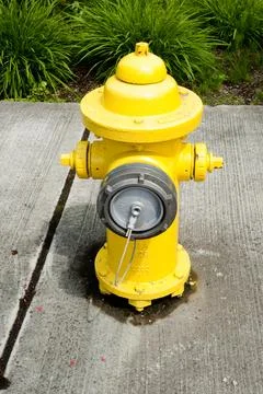 Fire hydrant Фото