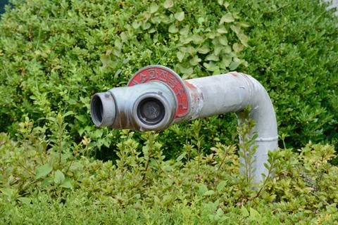 Fire  hydrant in plants Foto stock