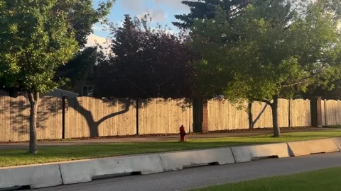 Fire hydrant in a row of trees in a calm street in the evening Stock Footage 341857423