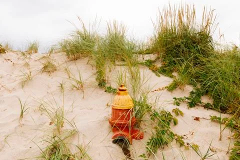 Fire hydrant in a sand dune on the beach. Stock Photos