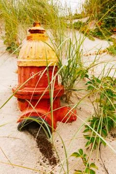 Fire hydrant in a sand dune on the beach. Stock Photos