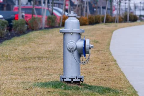 Fire hydrant silver color paint outdoors in a park, sunny day Foto stock
