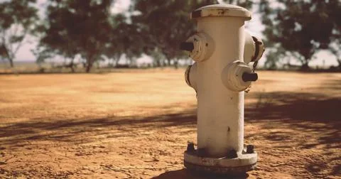Fire hydrant standing alone in dry landscape under bright sunlight Stock Illustration