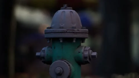 Fire hydrant stands in a park during early evening hours Stock Footage 339462390