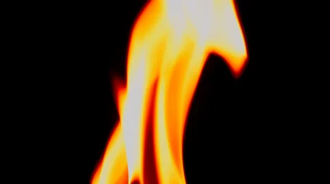 Fire isolated on black Stock Footage 35472797