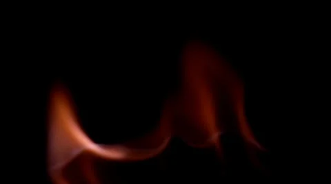 Fire isolated on black Stock Footage 36437486