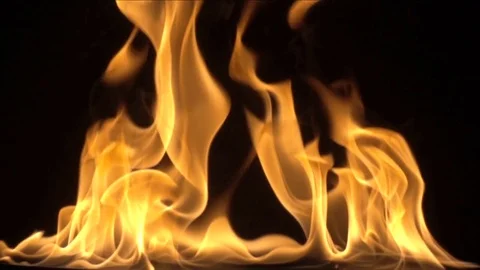 Fire isolated over black background. slow motion Video stock 82746600