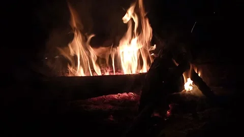 FIRE IN THE JUNGLE Stock Footage 222034043