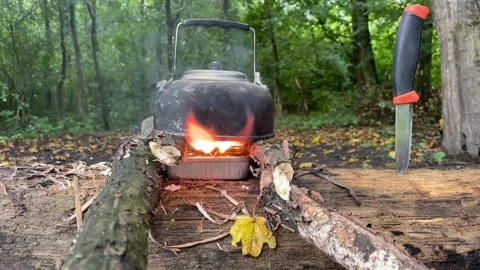 Fire kettle in the forest Stock Footage 252077771