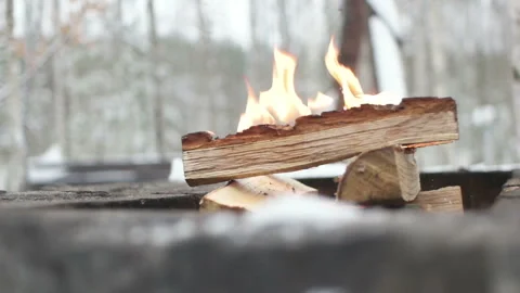 Fire is kindled, firewood Stock-Footage 85697924