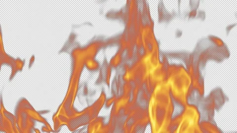 Fire Large 01 Loop HD Stock Footage 312508272