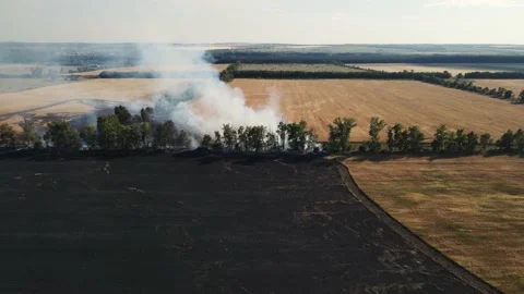 Fire on a large wheat field. burning fields. Stock Footage 157705797