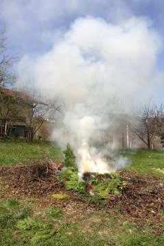 Fire on the lawn Stock Photos