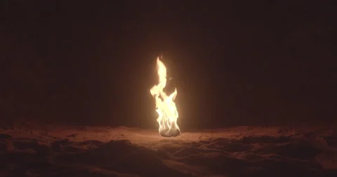 Fire like a light torch Stock Footage 147176699