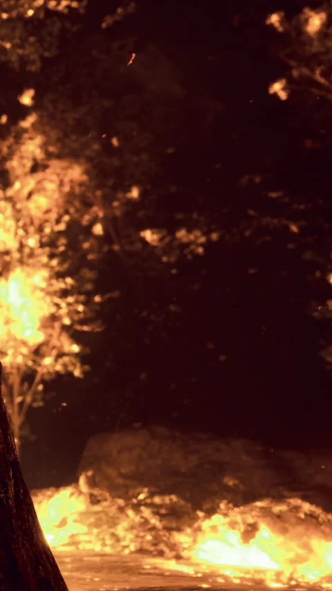 Fire lights up the night near a river with sparks flying and shadows dancing 動画素材 334167227