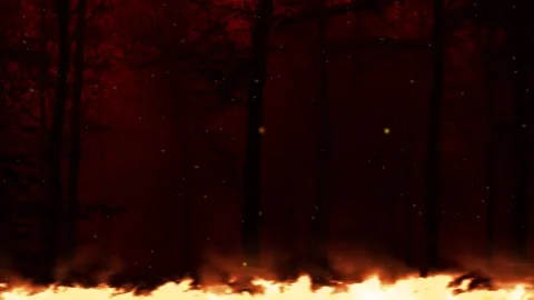 Fire line effect green screen background Stock Footage 277444204