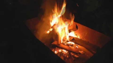The Fire is Lit in the Grill, Chips and Firewood Video stock 73636482