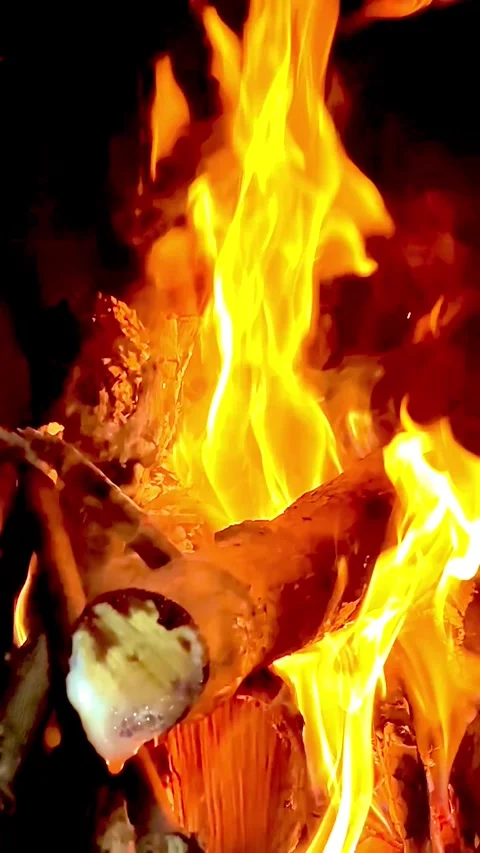 Fire lit to make roast meat Stock Footage 276586288