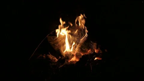 A fire is lit in the night Stock Footage 78768720