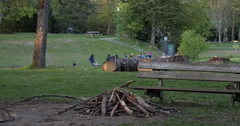 Fire log in city park Video stock 130381727