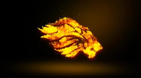 Fire Logo 4K Stock After Effects