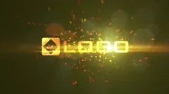 Fire Logo Reveal - Dynamic Fire Particle Sparks Burining Light Logo Sting Intro Stock After Effects