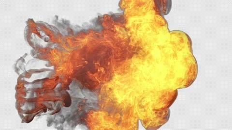 Fire Logo Reveal Stock Footage 169825321