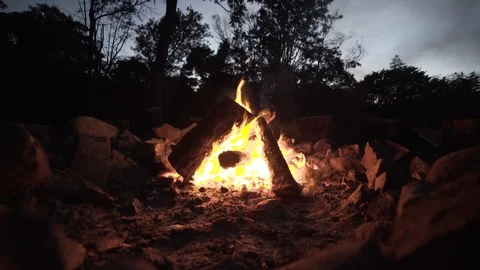 Fire with logs burning in camping area with tree silhouettes, Hawaii Stock Footage 122380147