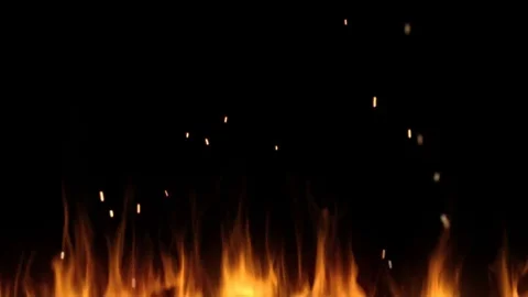 Fire logs embers Video stock 72461834