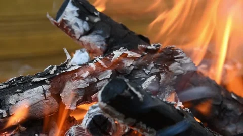 Fire on logs, logs burn into coals. A flame of fire in the wind. Stock Footage 239828997
