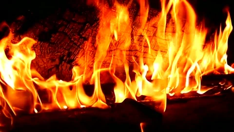 Fire on the logs of a night fire, close-up, in real time Video stock 219348757