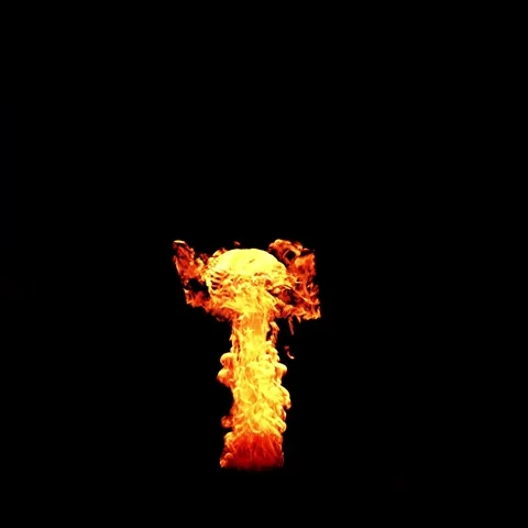 Fire Long Stock Footage Stock Footage 335850976